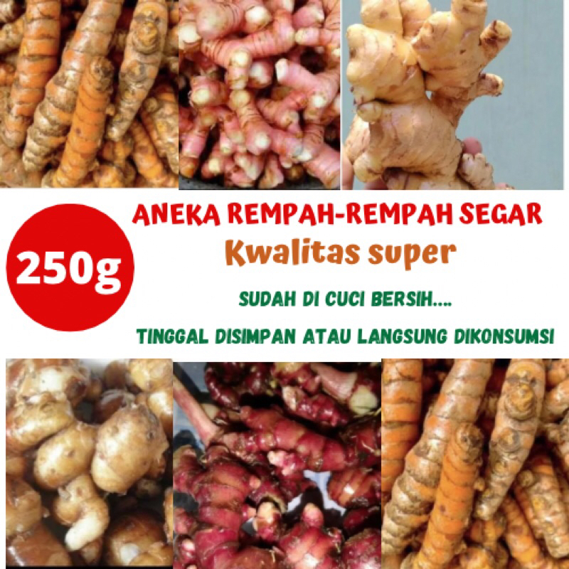 

ANEKA REMPAH SEGAR/250g/sudah cuci bersih,tinggal simpan dan konsumsi