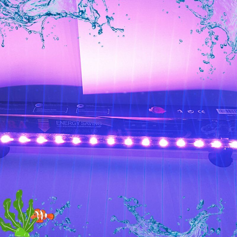 Lampu Led Celup Aquarium Aquascape LED AQURA ASP T4 20