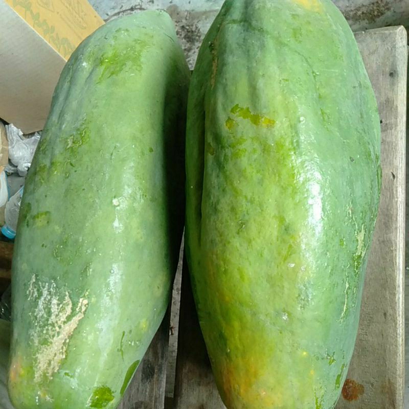 

Buah Kates Pepaya mentah minim order 2 buah @