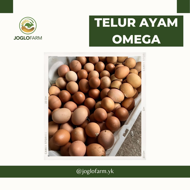 

Telur Omega/Telur Ayam Premium/Telur Ayam Bahagia