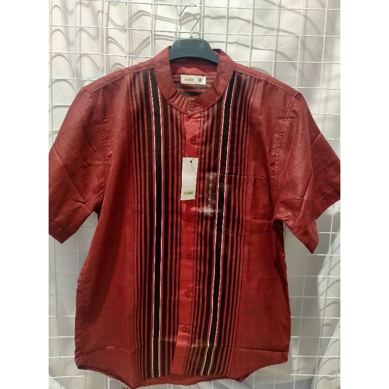 KOKO COLE#Marun-lumut