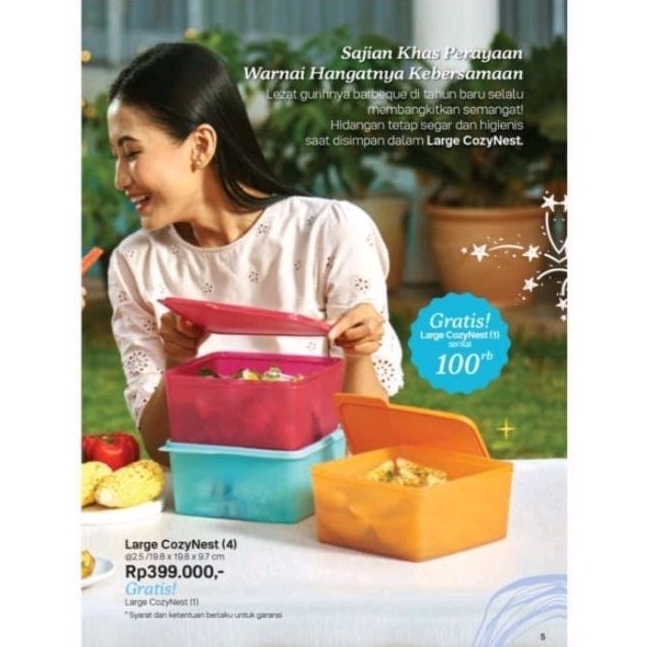 Tupperware Large Cozy Nest