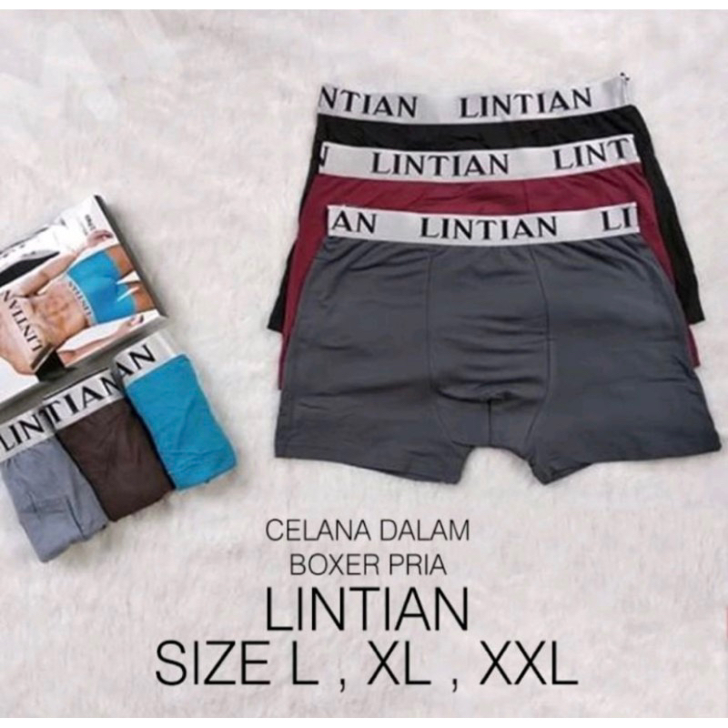 lintian celana dalam boxer celana dalam pria boxer lintian