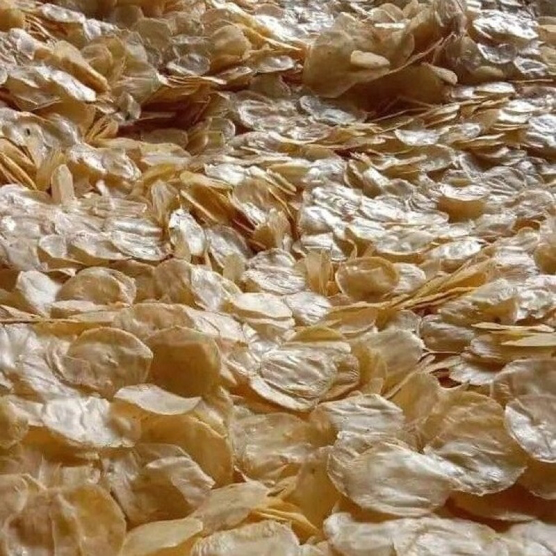 

opak singkong mentah 5kg