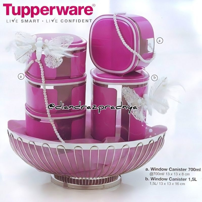Window Canister Tupperware Toples