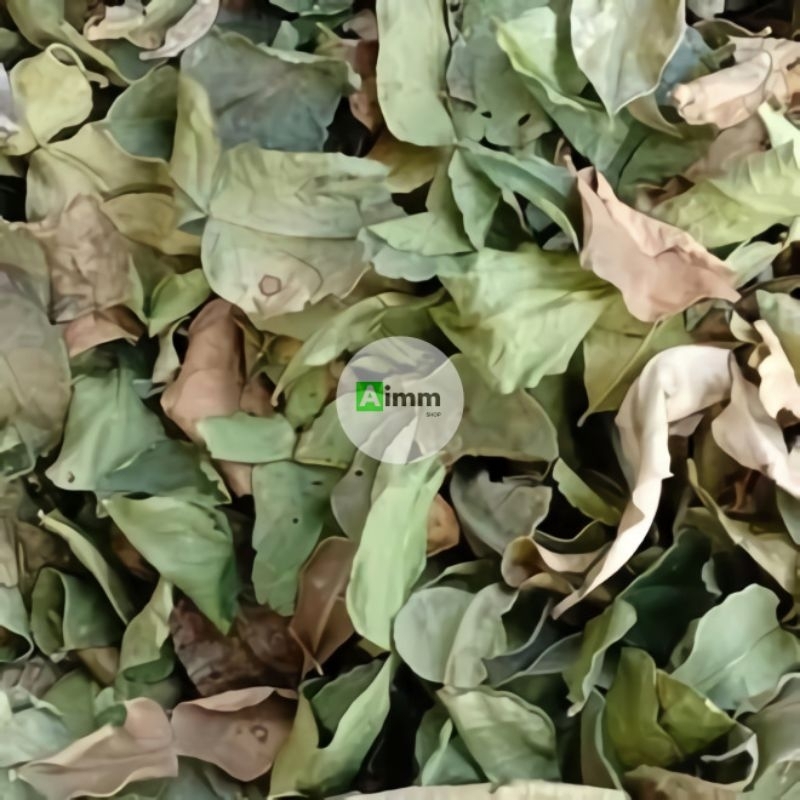 

DAUN JERUK PURUT KERING - SIMPLISIA DAUN JERUK PURUT - 100 GRAM