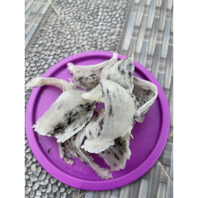 SARANG BURUNG WALET MANGKOK KOTOR ASLI 100% ORIGINAL