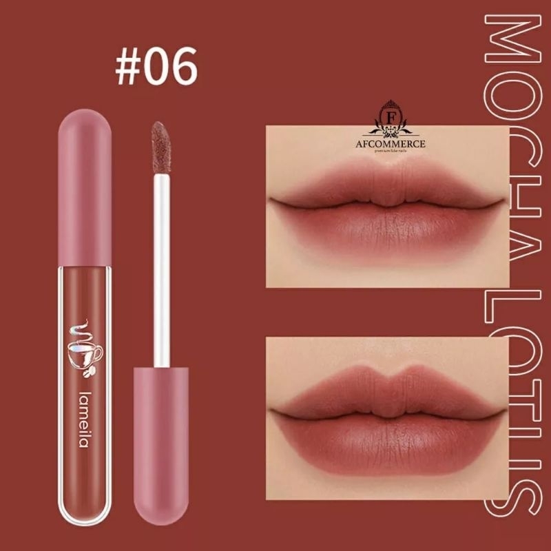 Lameila Lip Glaze Matte Lipstick Anti Air Lipstik Velvet Lip Gloss DJ 1041