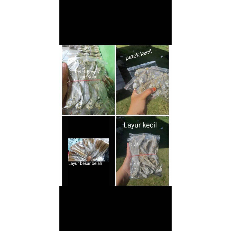 

Ikan Asin Bungkusan Berbagai Jenis