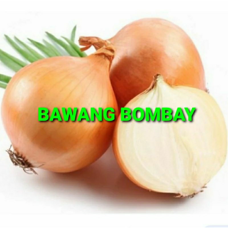 

BAWANG BOMBAY KHUSUS PARA SULTAN 1 KG (PREMIUM QUALITY)