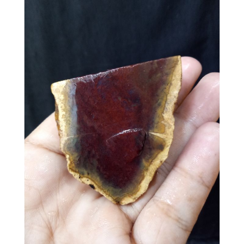 Rough Bahan Lumut Merah Suliki