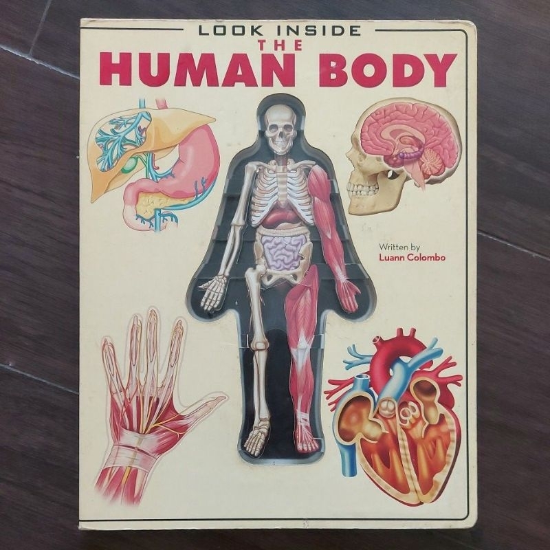 buku import asli The human body