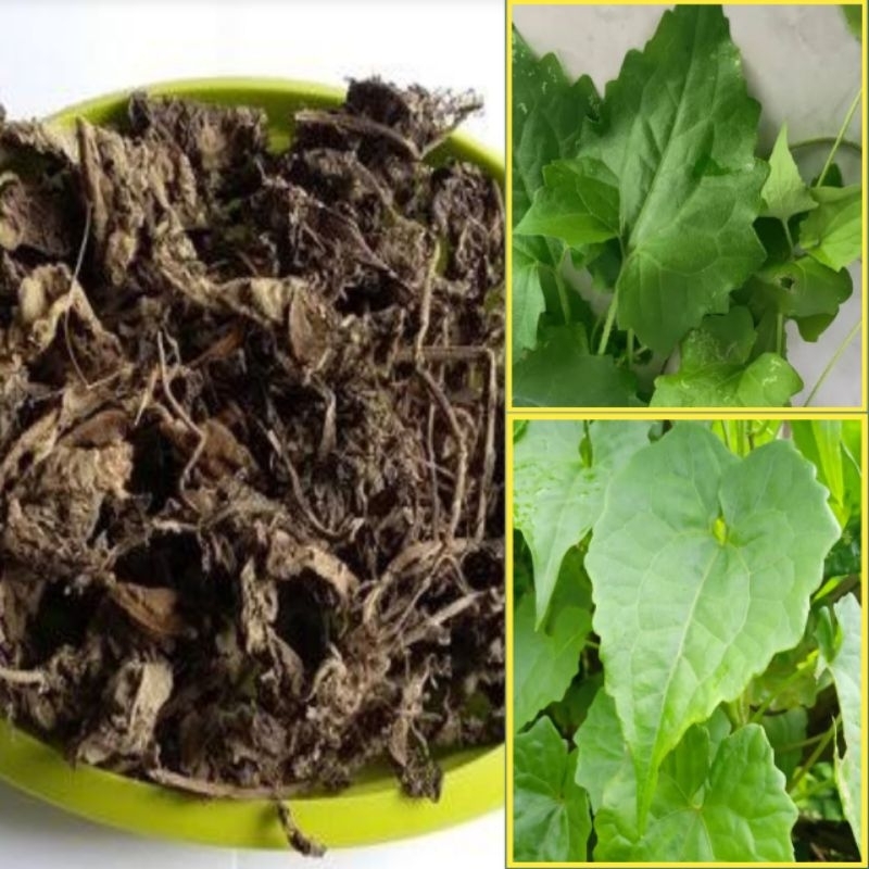 

Daun Sembung Rambat Kering Isi Per 100 Gram Alami Rempah