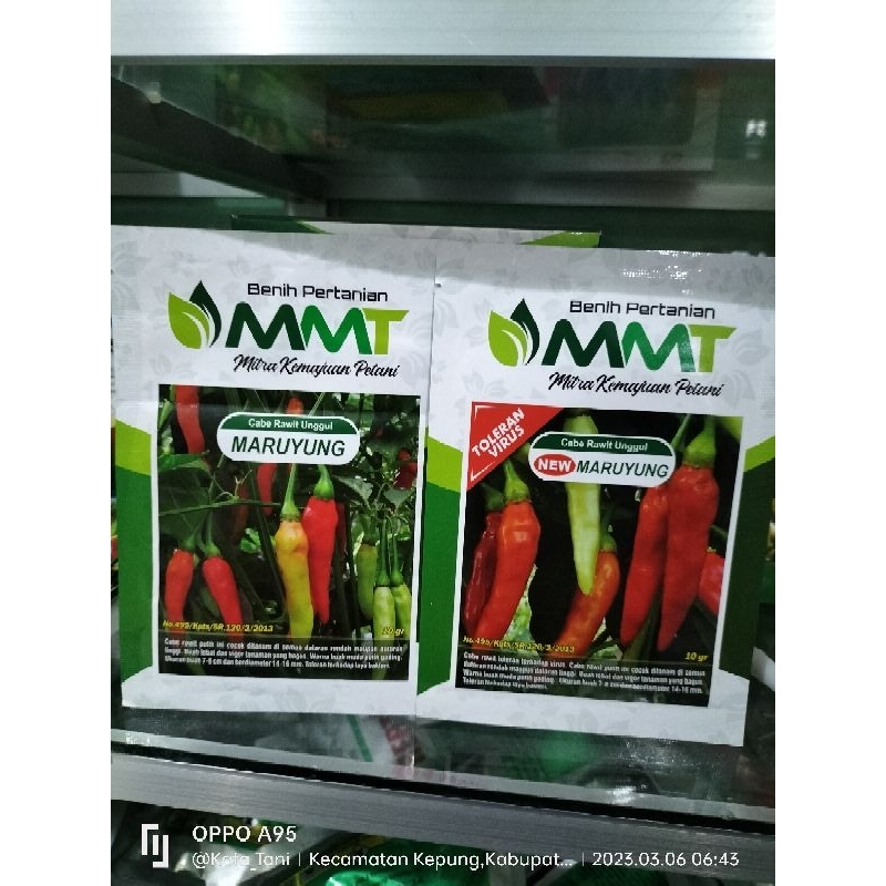 NEW MARUYUNG Cabai Rawit Unggul Toleran Virus
