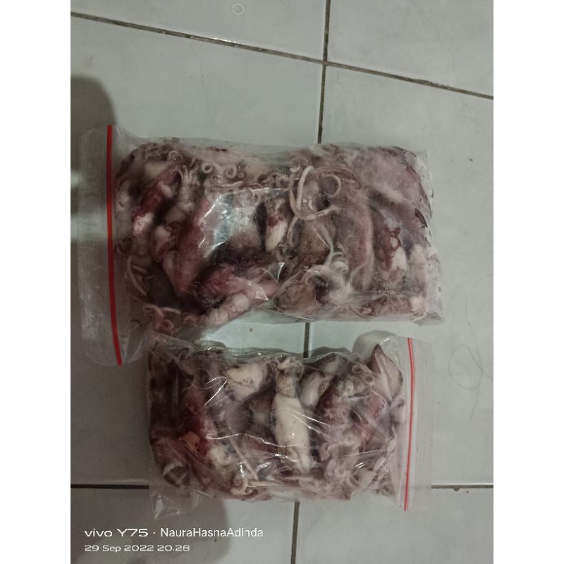 

Cumi Asin Telor Rebus 2-5cm 100gr