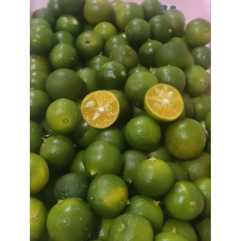 

jeruk kasturi/jeruk kunci/lemon Cui fresh 1 KG