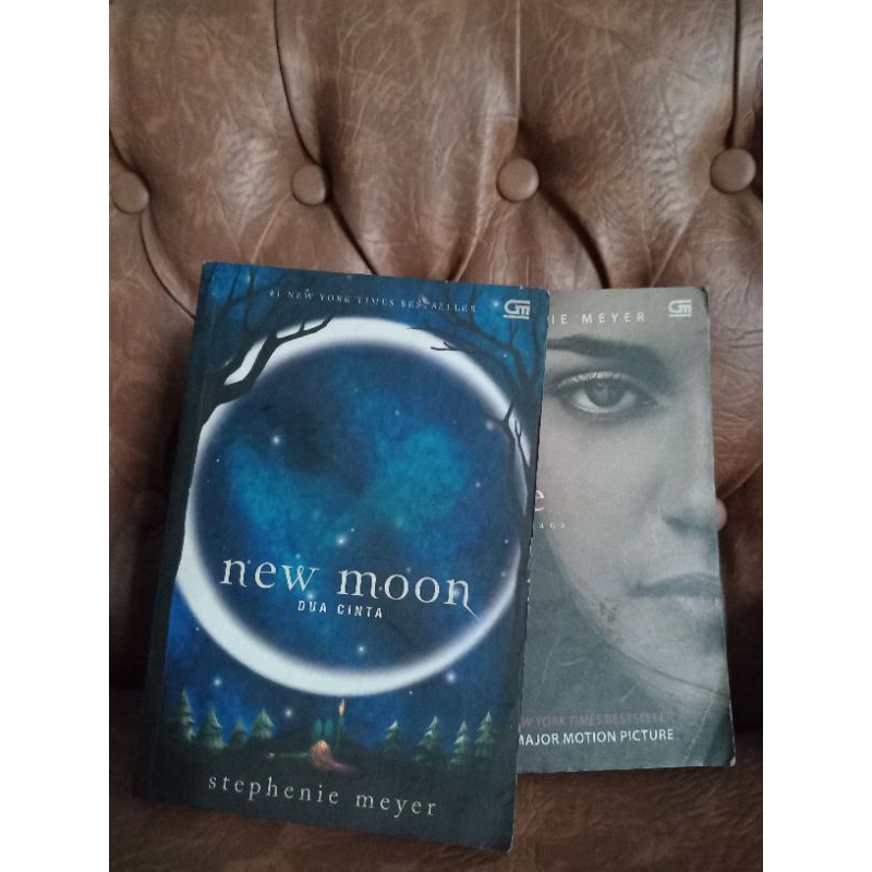 Novel Stephenie Meyer