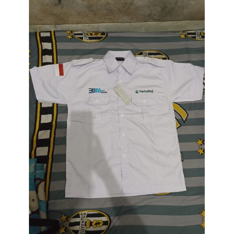 KEMEJA BUMN PERHUTANI/SERAGAM PERHUTANI/KEMEJA PERHUTANI/KEMEJA BUMN