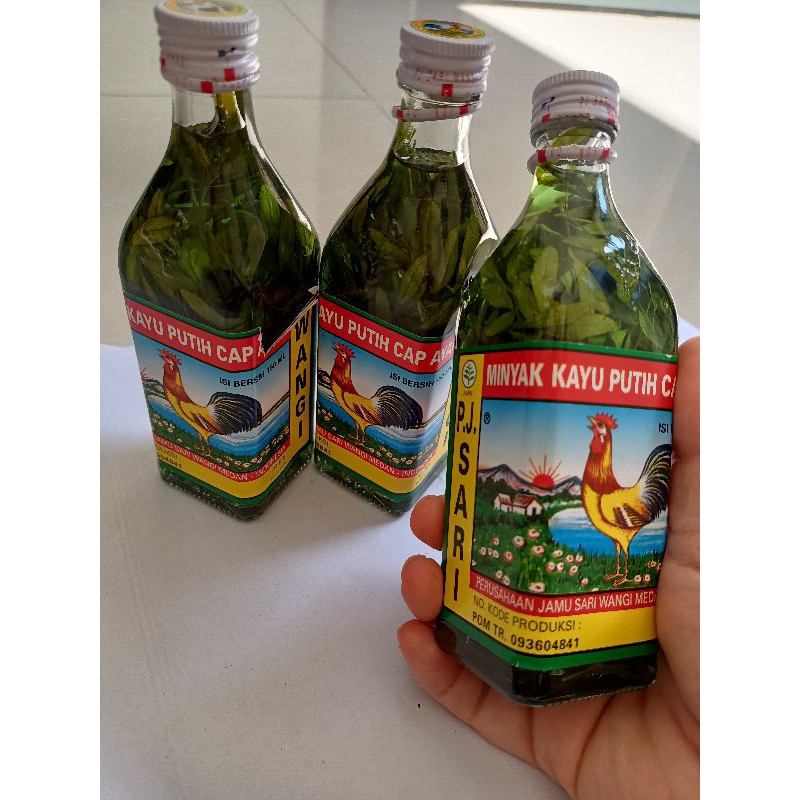 minyak kayu putih rendam chau-chau