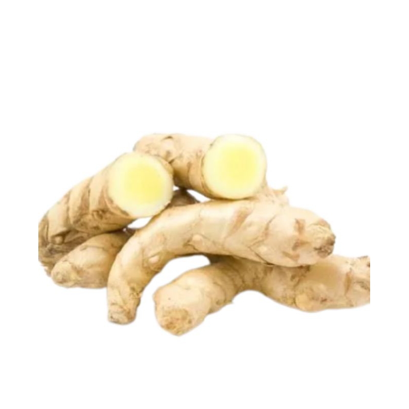 

TERMURAH KUNYIT PUTIH/TEMU MANGGA/CURCUMA MANGGA/HERBAL PENCERNAAN (PESAN PAKAI JNT)