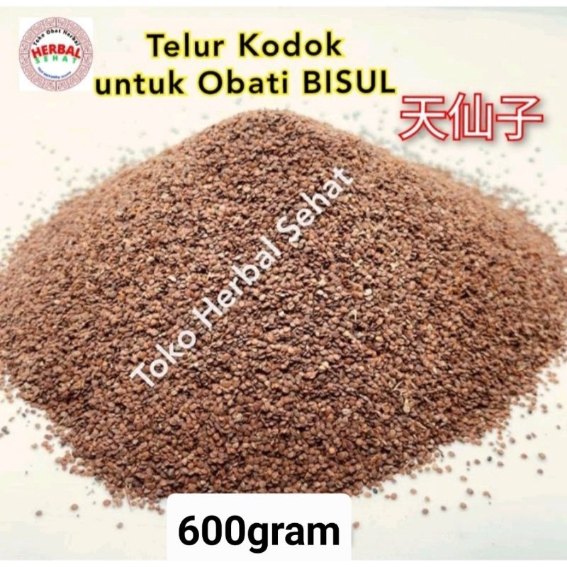 

600 gram - Telur Kodok Tian Xian Zi - Telor Kodok Semen Hyoscyami - Obat Bisul