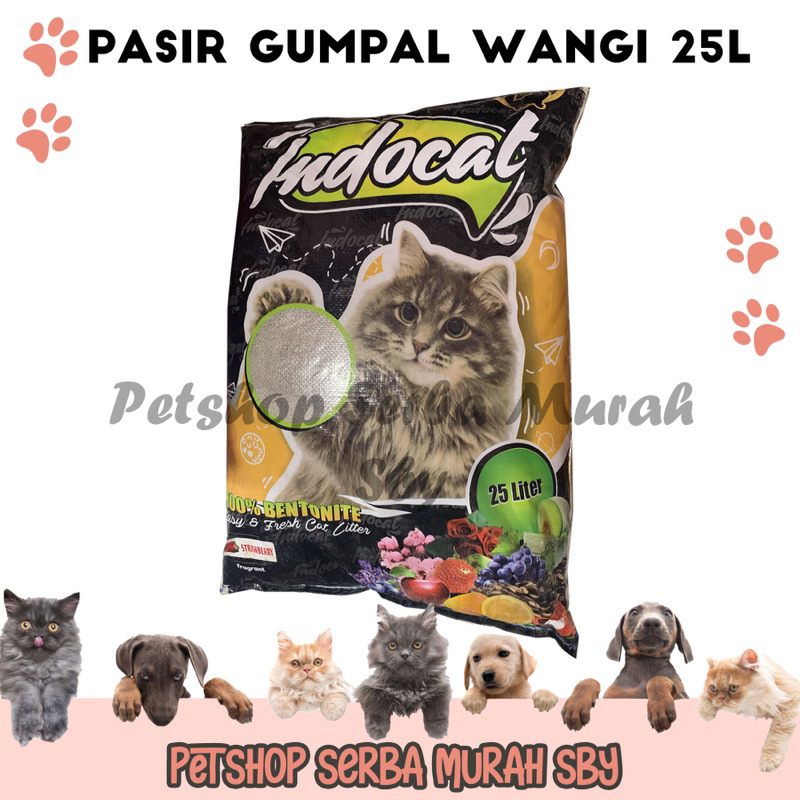 Pasir Kucing Gumpal Wangi Indocat 25L