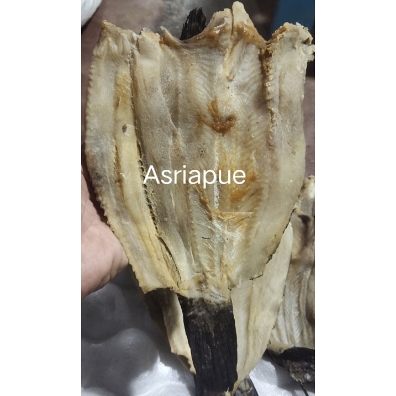 

500 GRAM IKAN ASIN GABUS / RUAN / HARUAN KERING