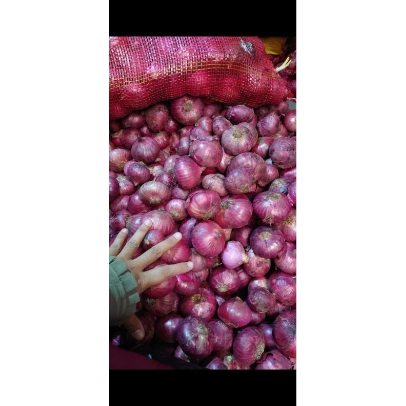 

BAWANG INDIA/ BAWANG PEKING/ BAWANG BESAR