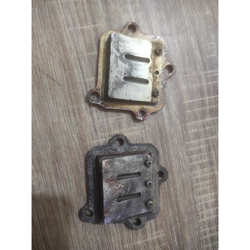 membran fiz r ori copotan