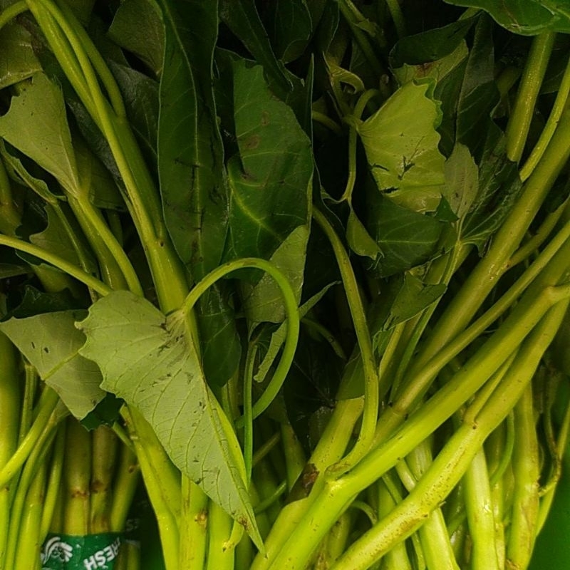 

Kangkung Plecing Segar per 1 Ikat Denpasar Bali
