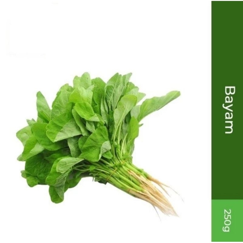

Sayur Bayam