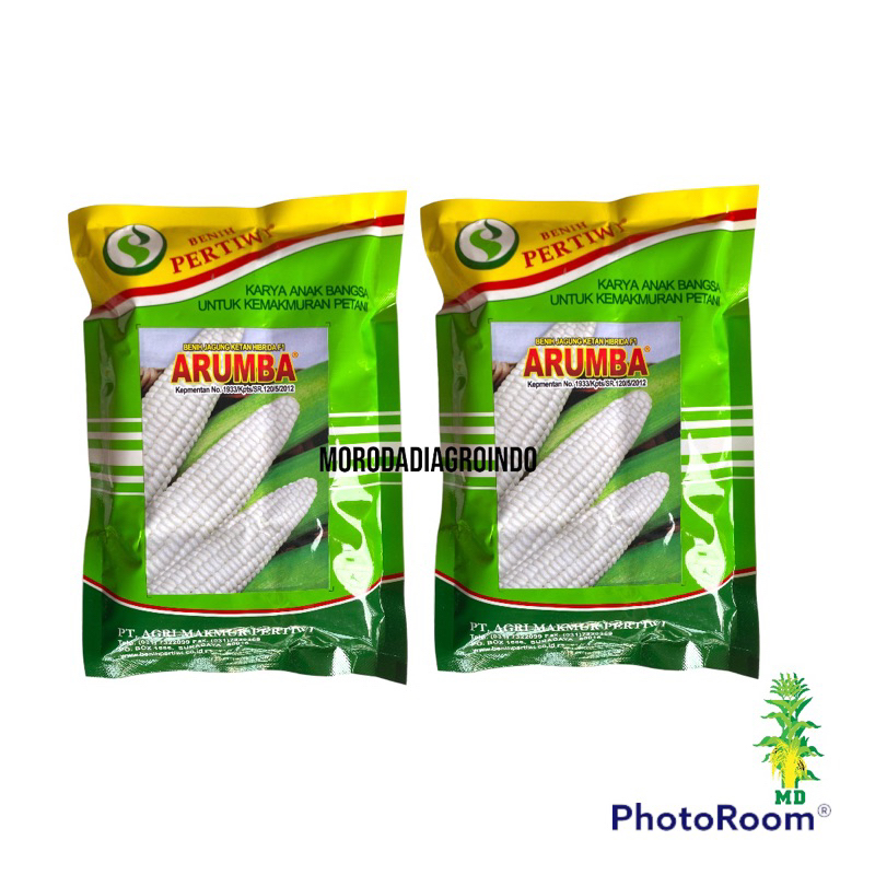 Benih jagung ketan/pulut hibrida F1 Arumba pertiwi 250 gram