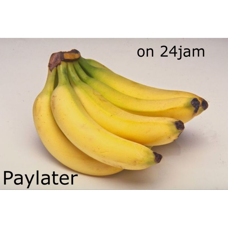 

PISANG RAJA