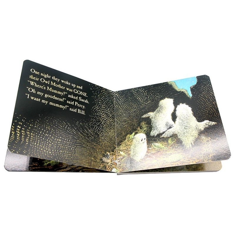 Original board book Owl babies 25th anniversary buku anak buku impor happychild