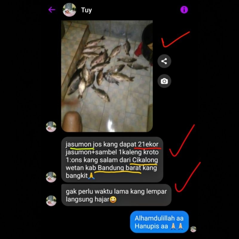 Umpan jadi jasumon stiker hitam spesial ikan mas