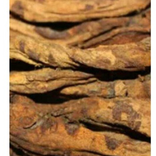 

TERBAIK JAMU HERBAL AKAR KLEMBAK/KELEMBAK KERING 250 GRAM
