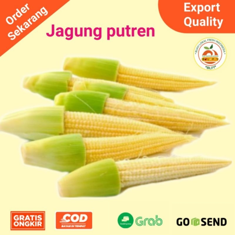 

JAGUNG PUTREN JAGUNG BABY FRESH
