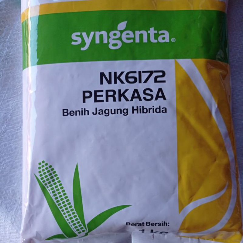 jagung NK perkasa (6172) dari syngenta