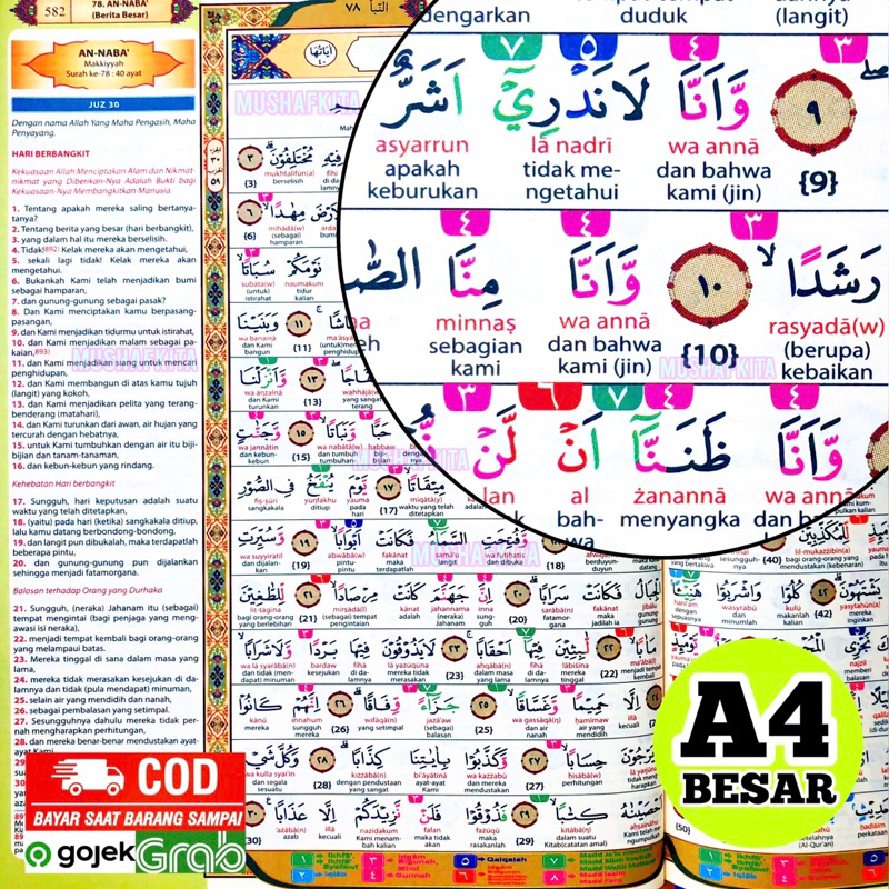 AlQuran Terjemahan dan Tajwid Warna Perkata AlQuran Pemula Besar Belajar Tajwid PemulaAlquran tajwid