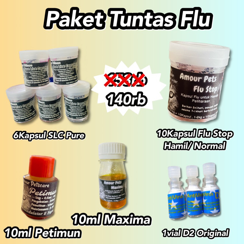 Paket tuntas flu anjing kucing Flu berat, ringan, flu on off, flu menahun