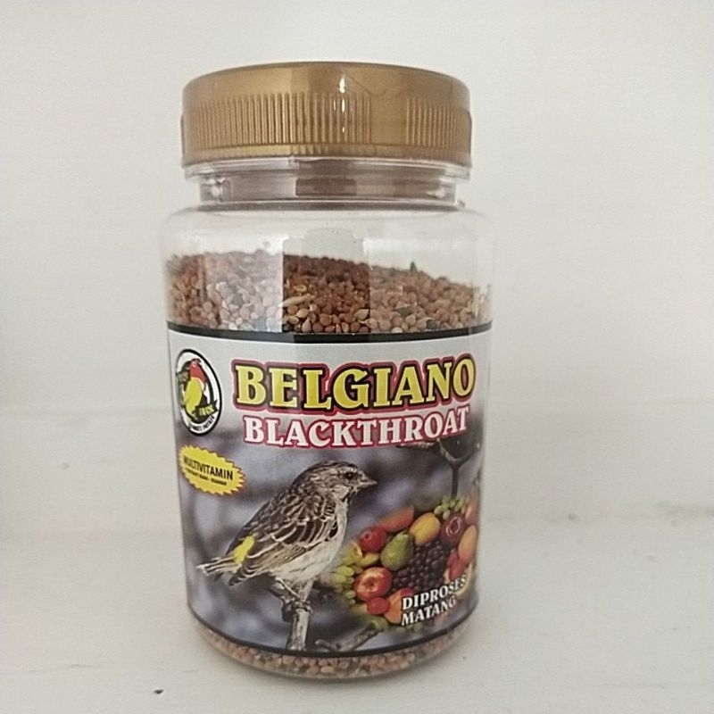 pakan burung blackthroat BELGIANO