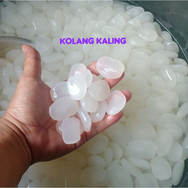 Kolang Kaling 1kg Caruluk Kolang Kaling Fresh