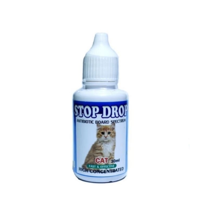 Stop drop obat antibiotik cat kitten antibakteri virus kuman