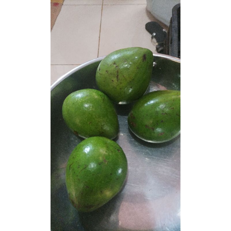 

Alpukat Mentega Curup 5kg