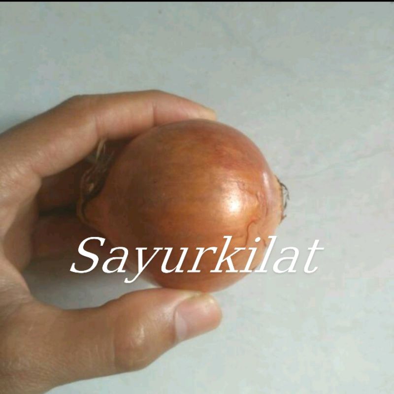 

Bawang bombay , bombai segar