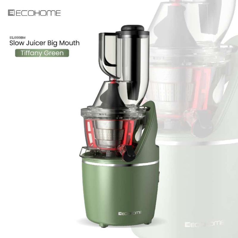 Ecohome Slow Juicer ESJ 999 BM