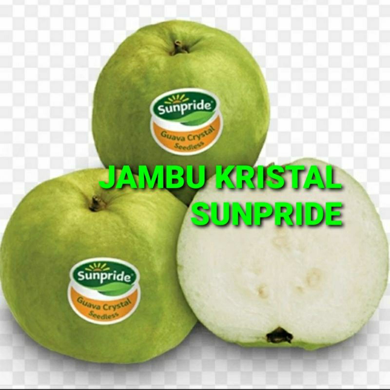 

JAMBU KRISTAL SUNPRIDE KHUSUS PARA SULTAN 1 KG (PREMIUM QUALITY)