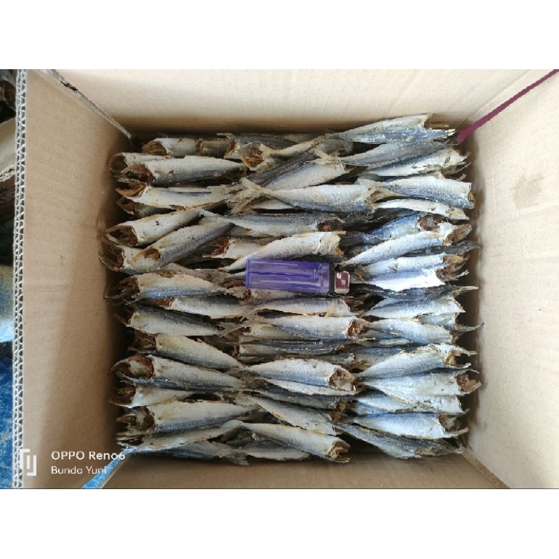 

ikan rebus potong kepala