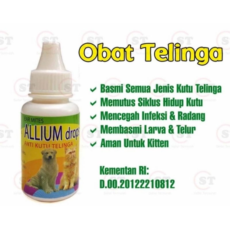 Allium drop obat kutu telinga kucing/anjing