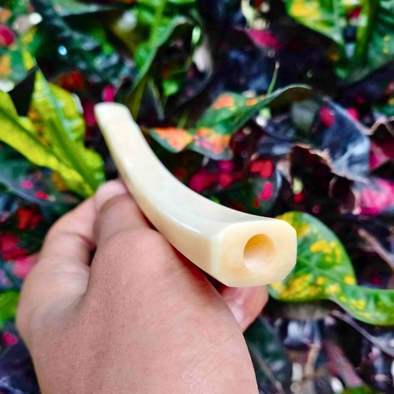 Once Pipa Pipo Tulang Sapi Rasa Iga Duyung